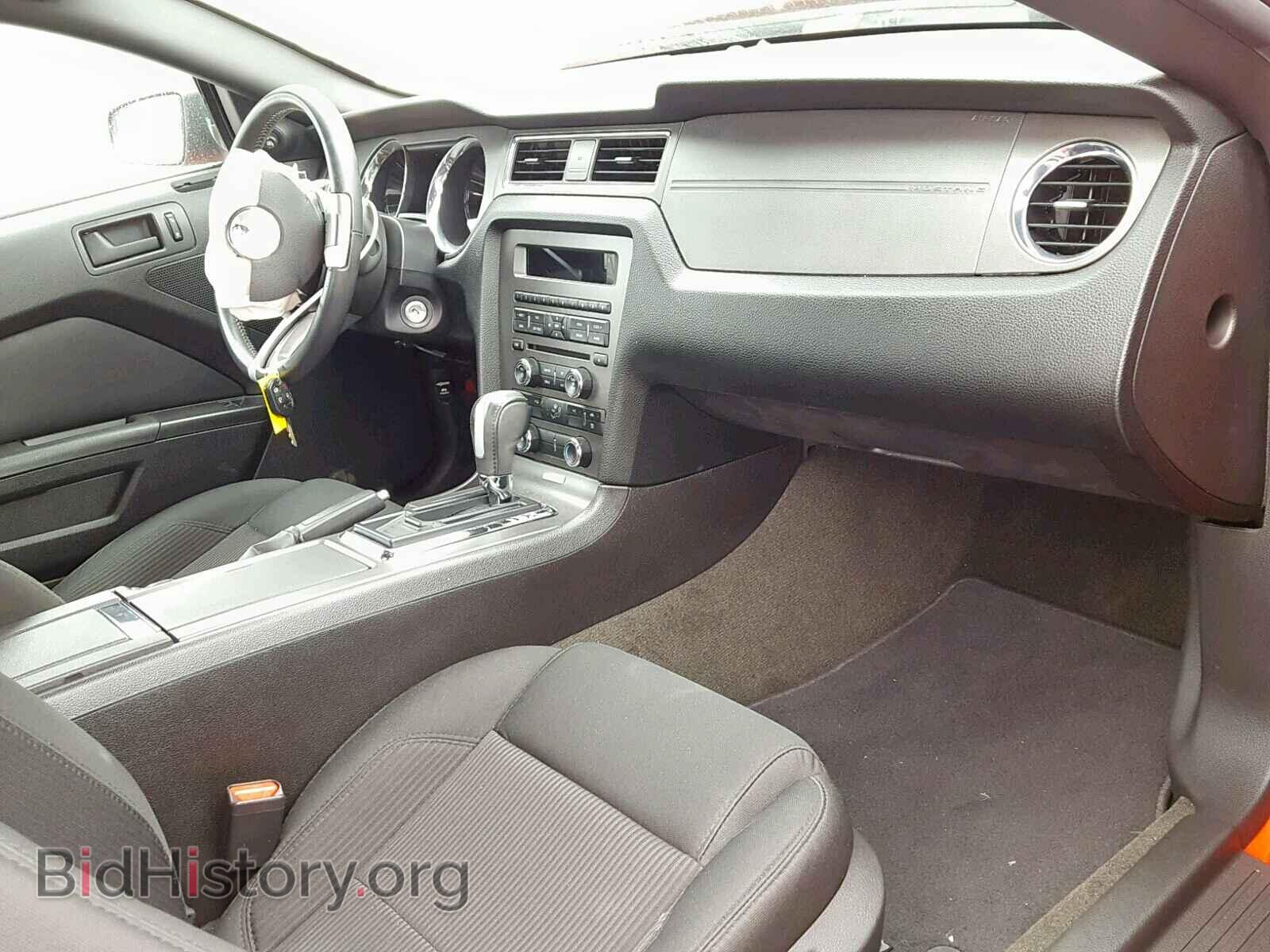 2013 FORD MUSTANG - VIN: 1ZVBP8AM0D5255516 - Фото 5