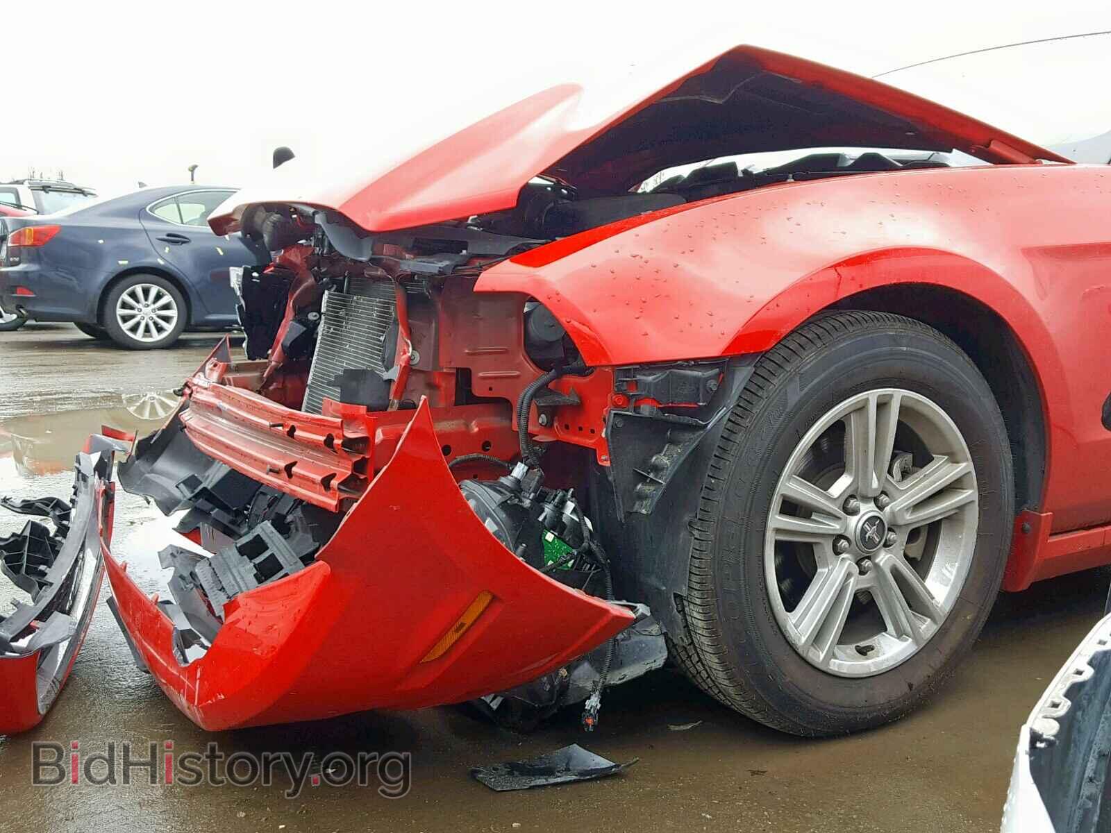 2013 FORD MUSTANG - VIN: 1ZVBP8AM0D5255516 - Фото 9