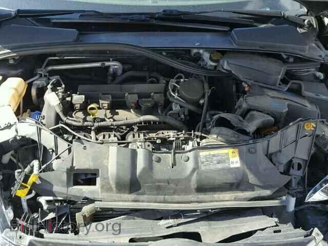 2013 FORD FOCUS - VIN: 1FADP3K20DL119187 - Photo 7