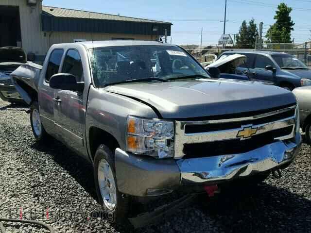Фотография 2GCEK19J481207010 - CHEVROLET SILVERADO 2008