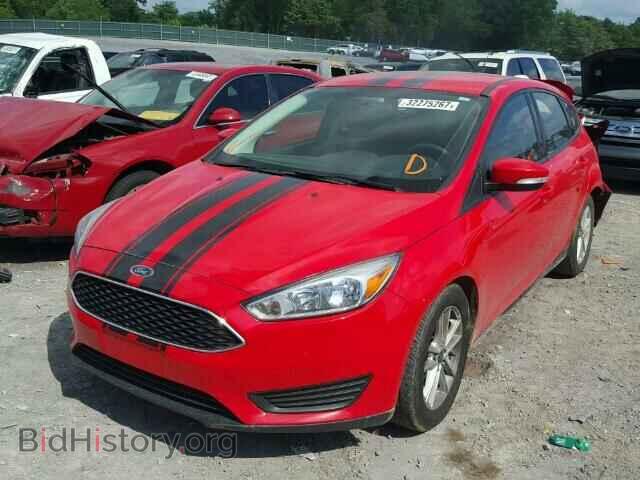 2015 FORD FOCUS - VIN: 1FADP3K29FL245020 - Фото 2