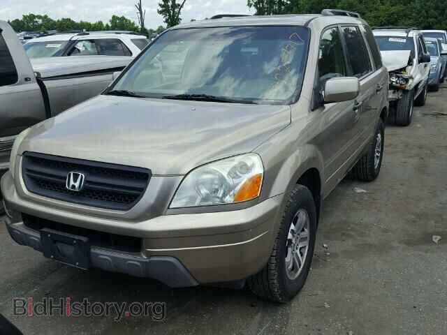 2005 HONDA PILOT - VIN: 5FNYF18545B067815 - Фото 2