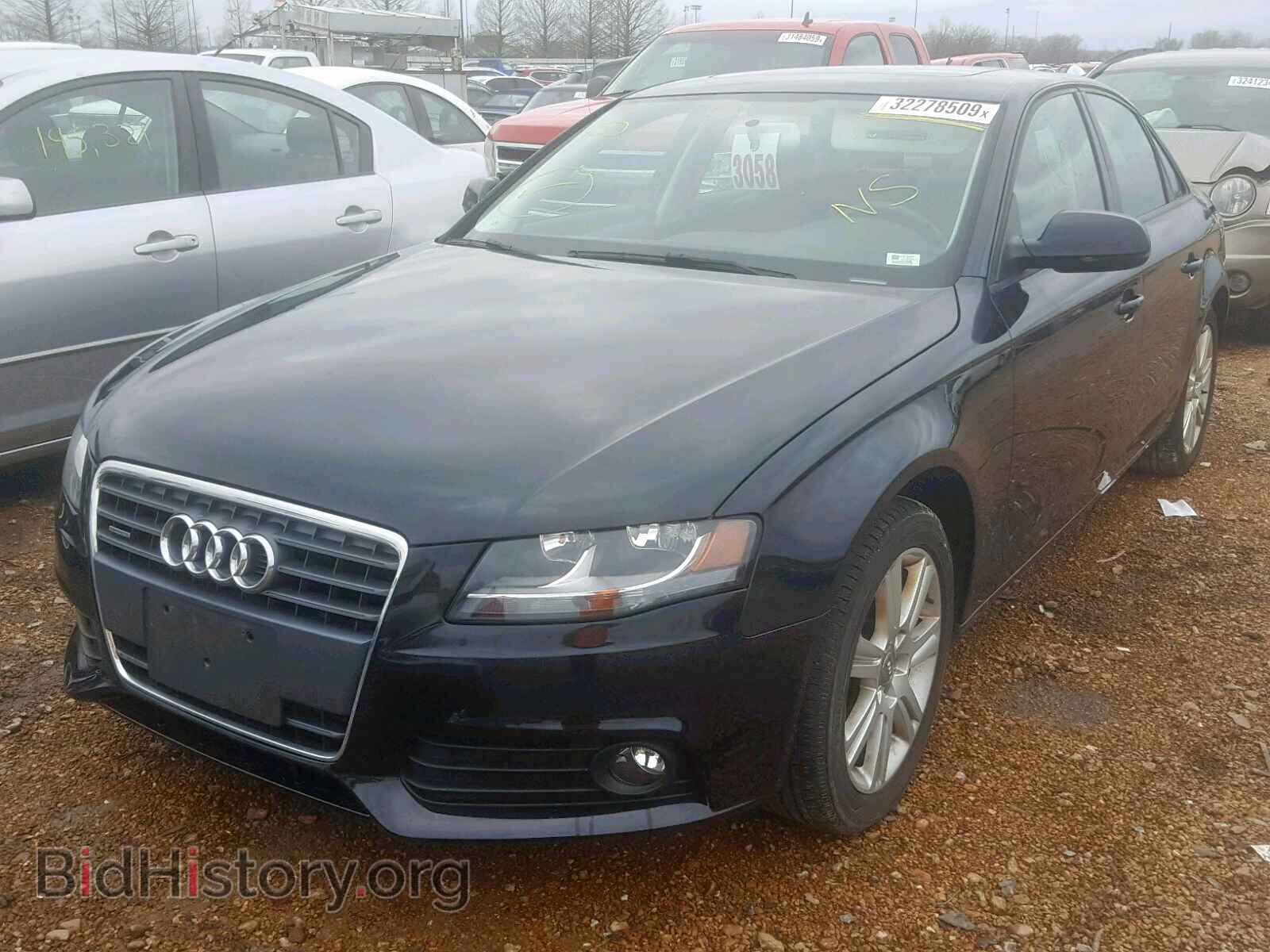 2010 AUDI A4 - VIN: WAUBFAFL3AN065120 - Фото 2