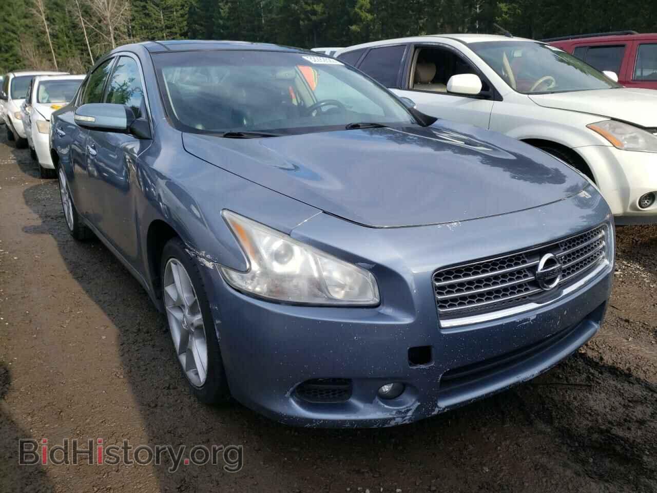 Фотография 1N4AA5AP7BC830525 - NISSAN MAXIMA 2011