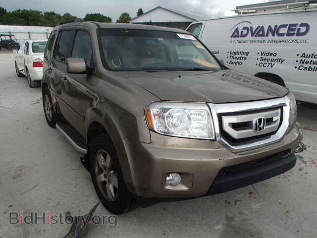 Фотография 5FNYF3H58BB058235 - HONDA PILOT 2011