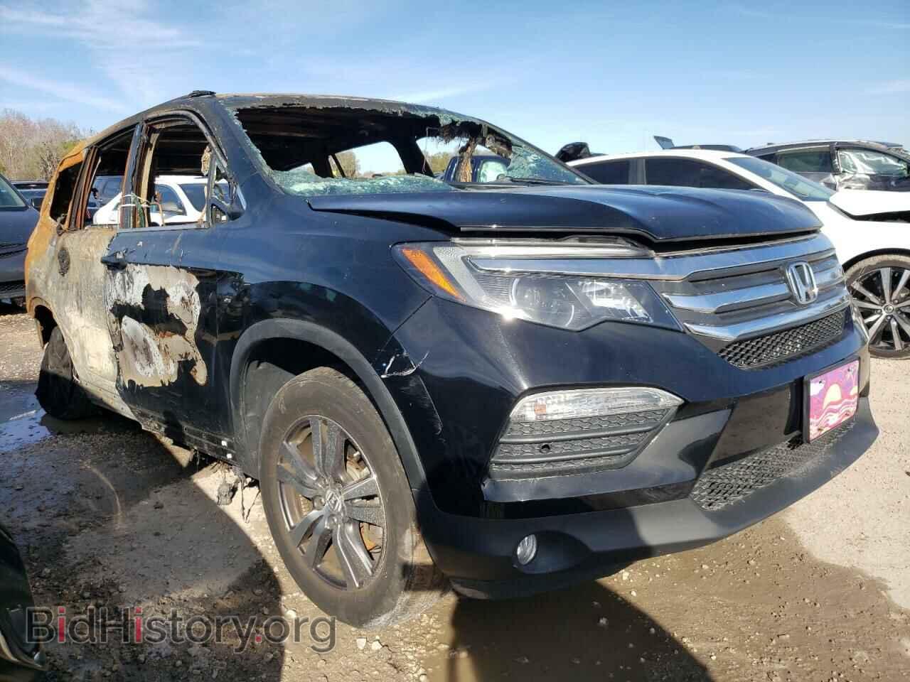 Photo 5FNYF6H36JB003975 - HONDA PILOT 2018