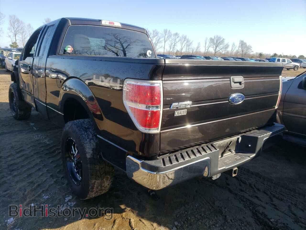 2013 FORD F-150 - VIN: 1FTFX1ET3DFD77777 - Фото 3