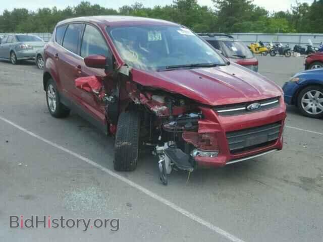 Photo 1FMCU0GX1DUB35275 - FORD ESCAPE 2013
