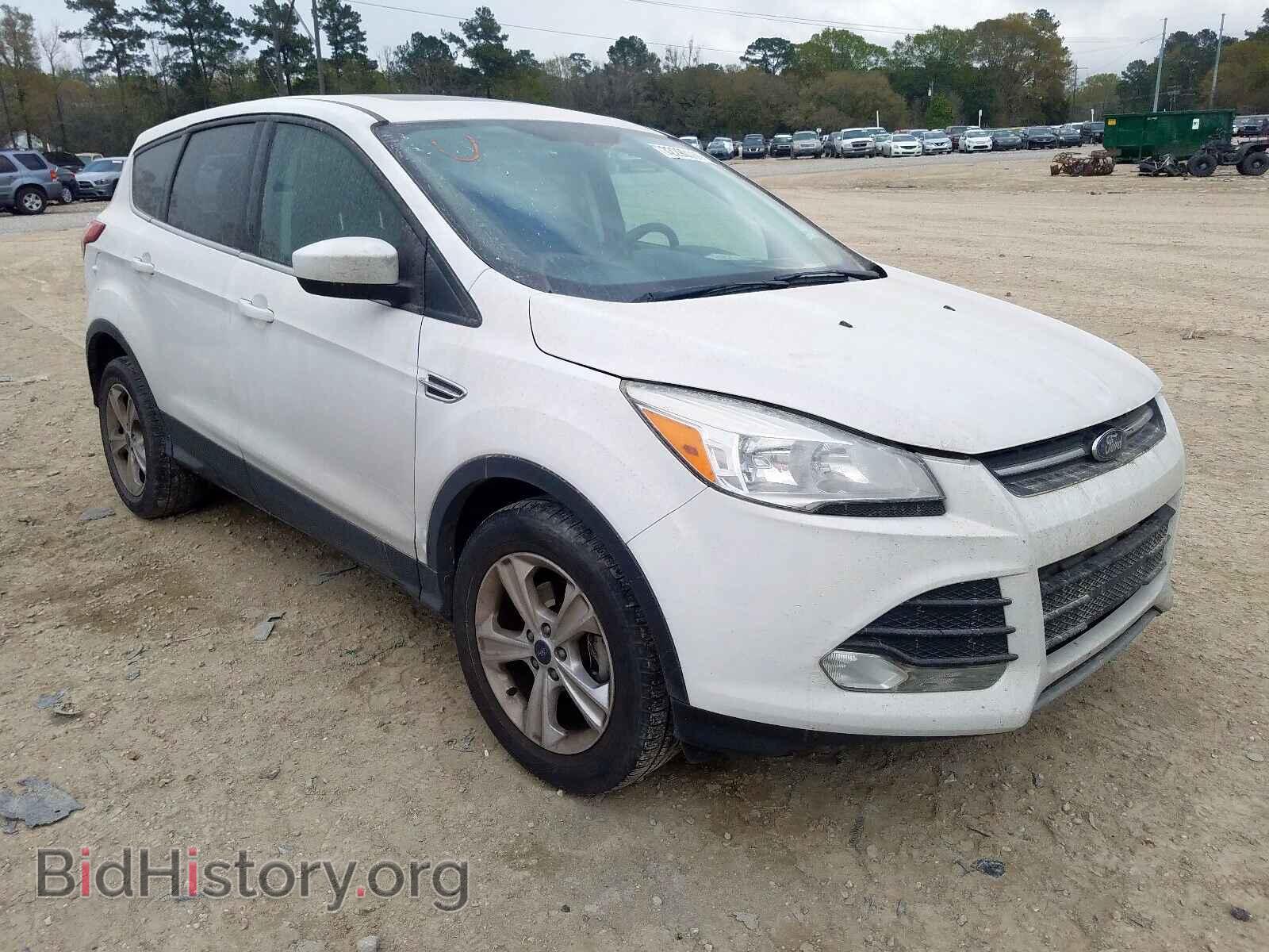 Photo 1FMCU0GX2EUC23477 - FORD ESCAPE 2014