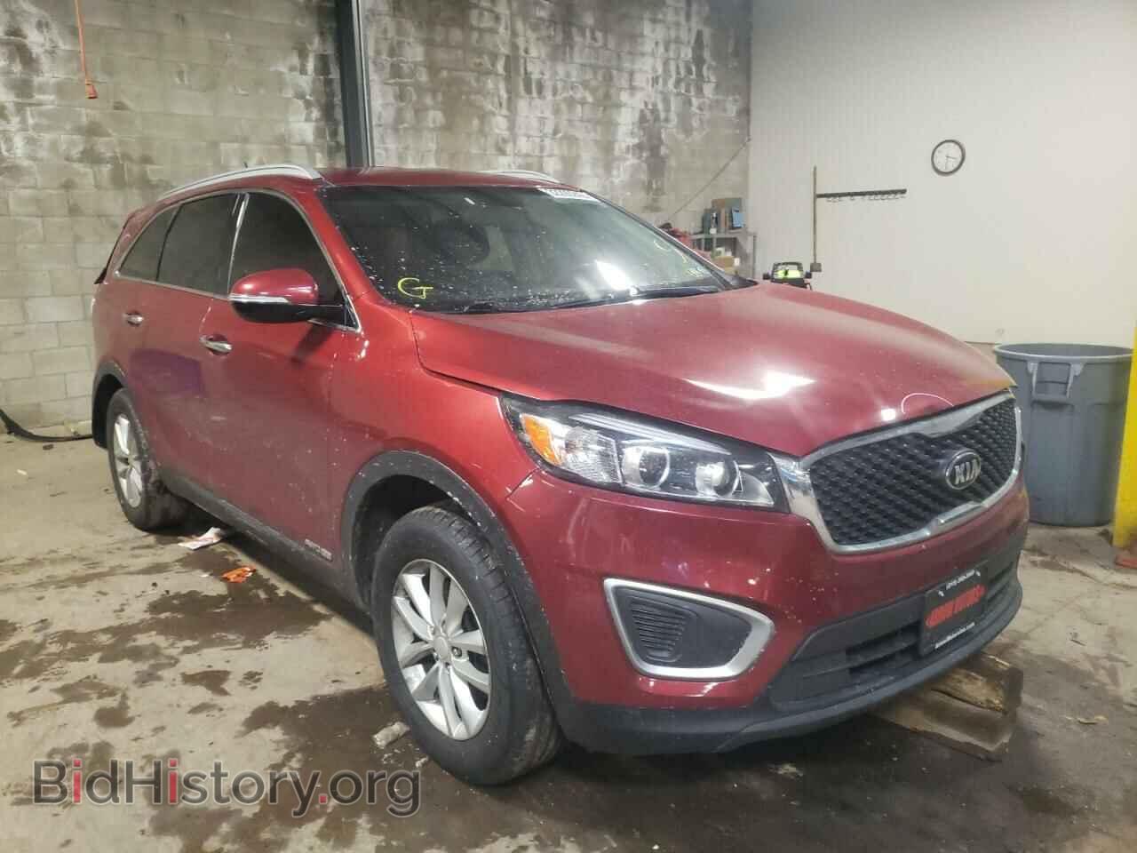 Photo 5XYPGDA59HG216673 - KIA SORENTO 2017