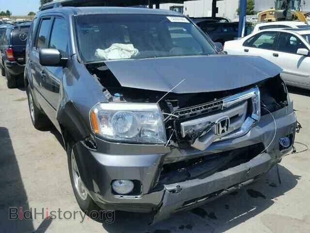 Фотография 5FNYF38469B021721 - HONDA PILOT 2009