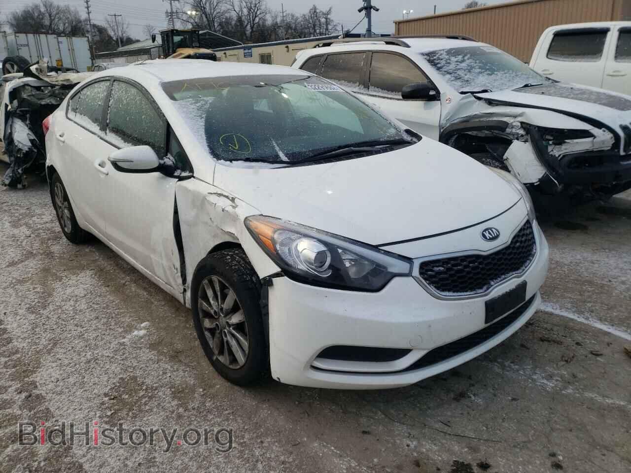 Фотография KNAFX4A68E5136464 - KIA FORTE 2014