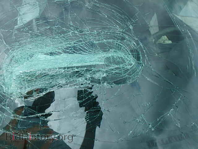 2009 FORD FOCUS - VIN: 1FAHP35N39W214789 - Фото 10