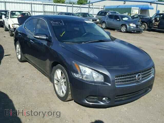 Фотография 1N4AA5AP6BC846814 - NISSAN MAXIMA 2011