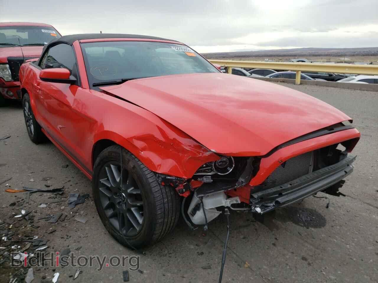 Фотография 1ZVBP8EM9E5333593 - FORD MUSTANG 2014