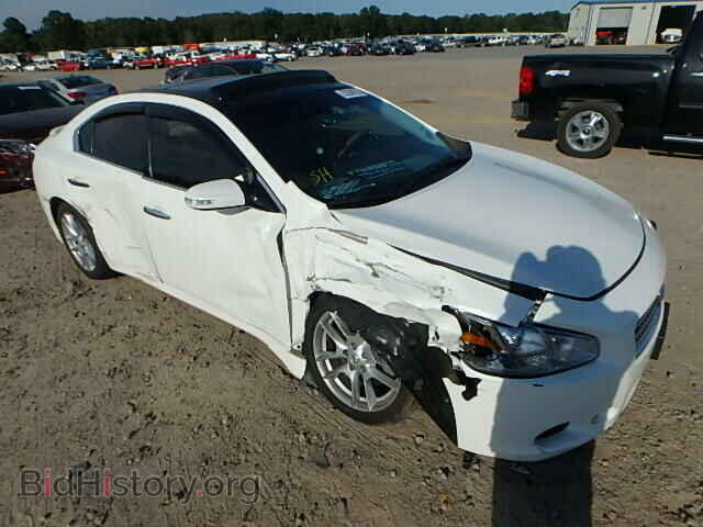 Фотография 1N4AA5AP8BC808727 - NISSAN MAXIMA 2011