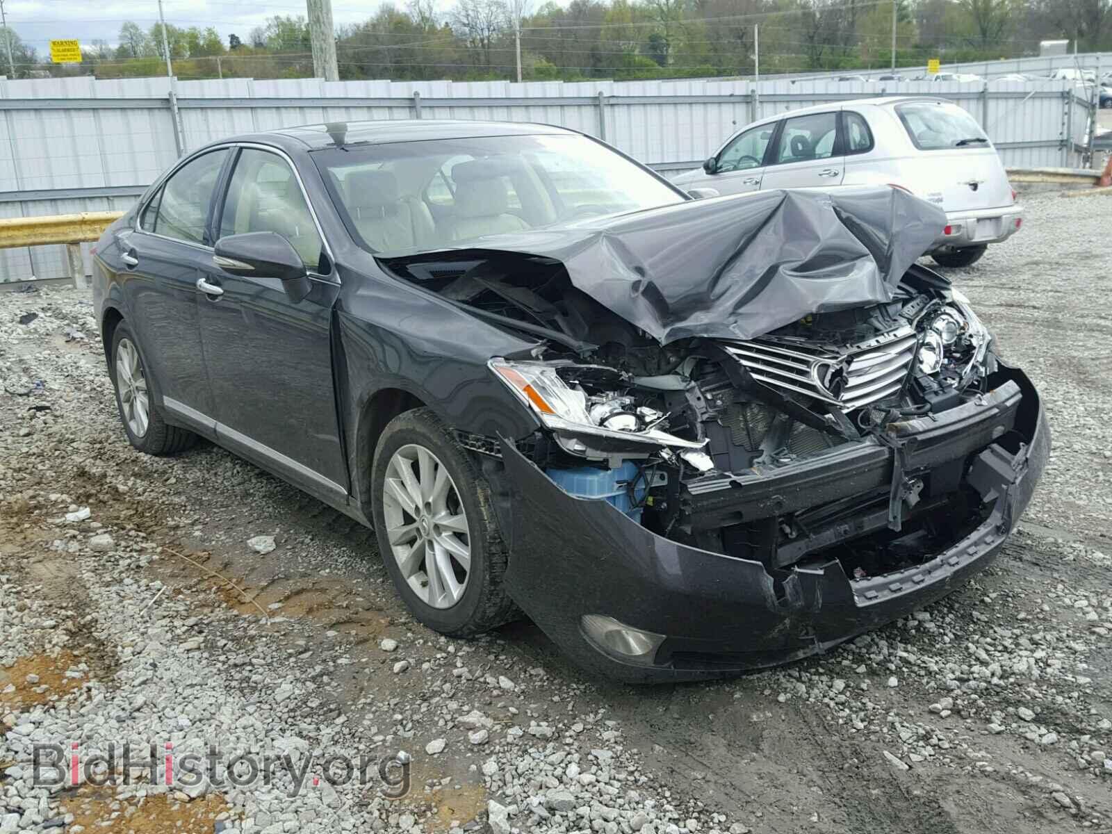 Фотография JTHBK1EG0C2504845 - LEXUS ES350 2012