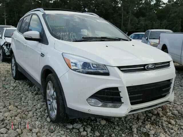 Фотография 1FMCU0JXXEUC42027 - FORD ESCAPE 2014