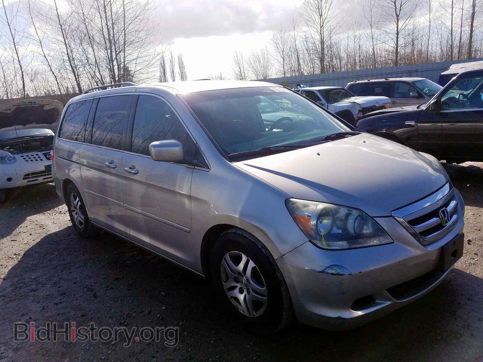 Photo 5FNRL38425B010612 - HONDA ODYSSEY 2005
