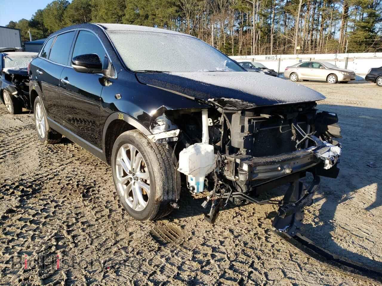 Photo JM3TB3DV7D0421502 - MAZDA CX-9 2013