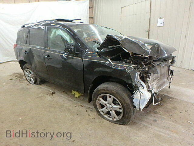 Фотография 2T3BF4DV9CW254309 - TOYOTA RAV4 2012