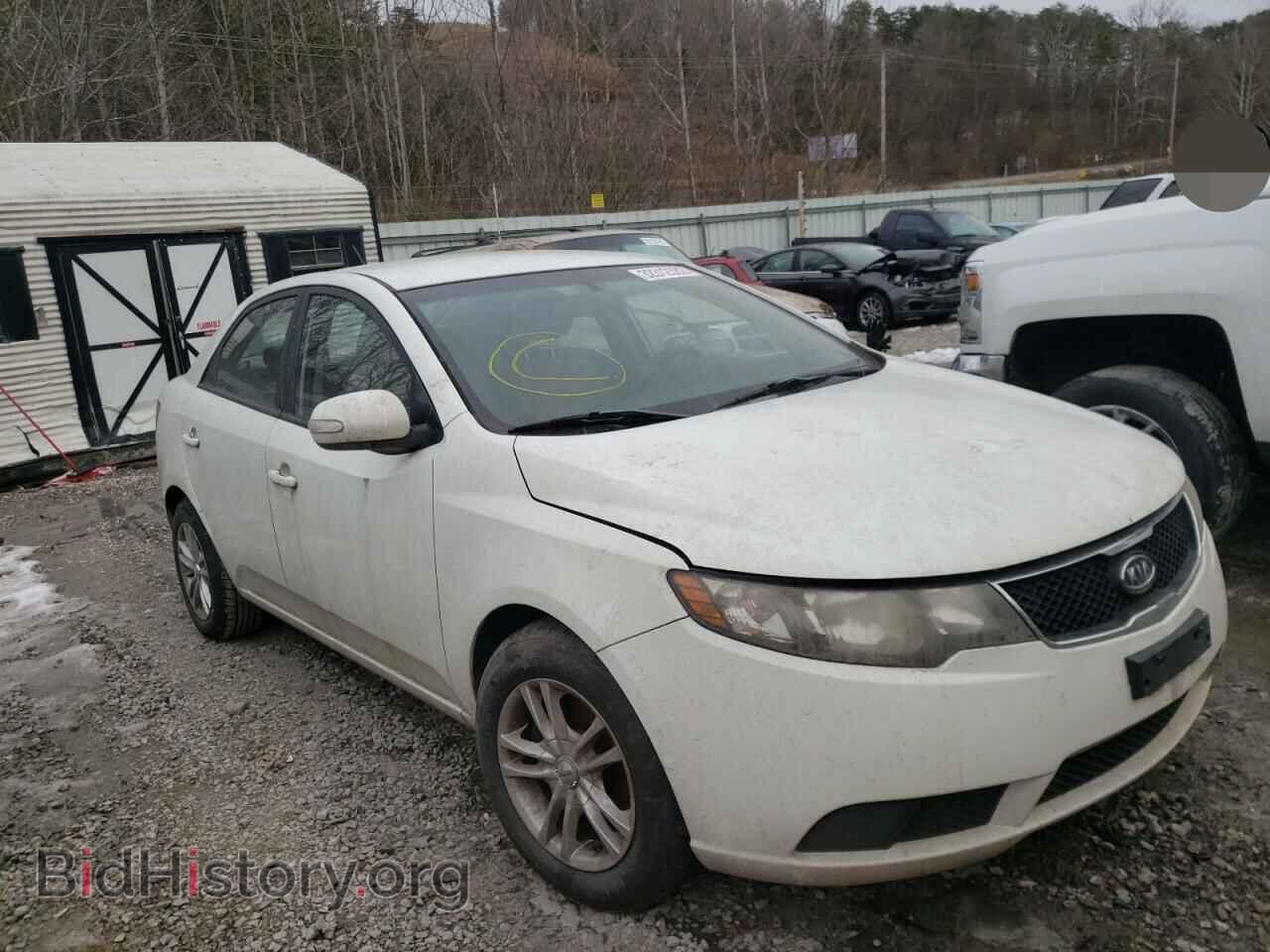 Фотография KNAFU4A20A5055720 - KIA FORTE 2010