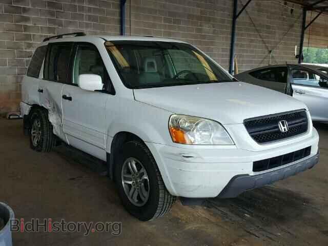 Photo 5FNYF18665B067064 - HONDA PILOT 2005