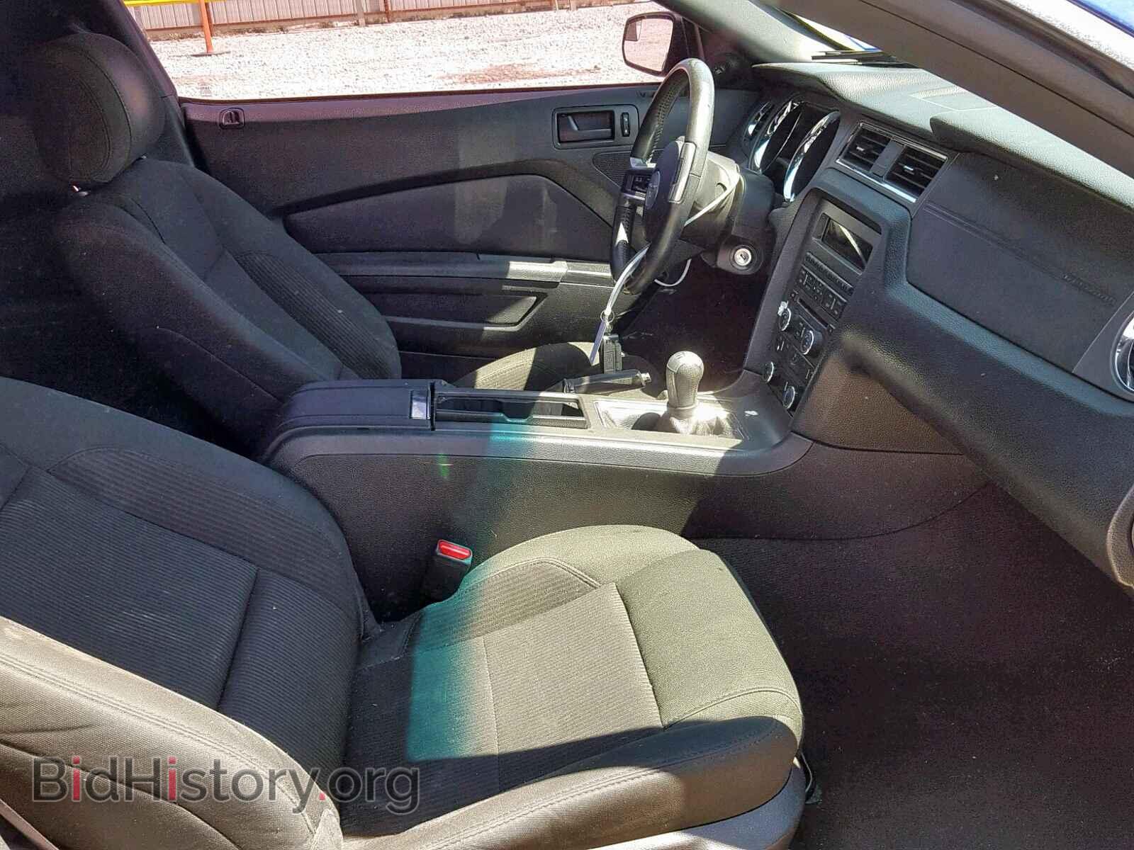 2014 FORD MUSTANG - VIN: 1ZVBP8AM4E5252331 - Фото 5