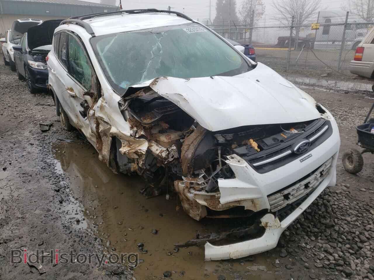 Фотография 1FMCU0GX2DUB59469 - FORD ESCAPE 2013