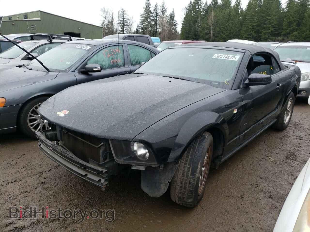 2006 FORD MUSTANG - VIN: 1ZVHT84N265111396 - Фото 2