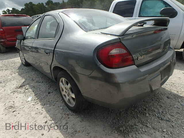 2005 DODGE NEON - VIN: 1B3ES56CX5D282647 - Фото 3