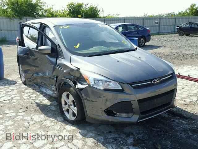 Фотография 1FMCU0GX2EUD25801 - FORD ESCAPE 2014