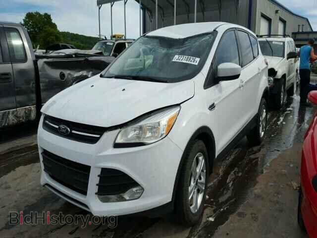 2013 FORD ESCAPE - VIN: 1FMCU0G97DUC26990 - Photo 2