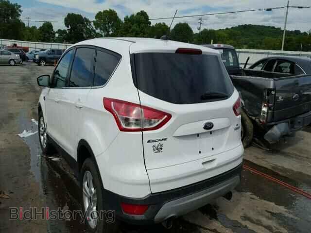 2013 FORD ESCAPE - VIN: 1FMCU0G97DUC26990 - Photo 3