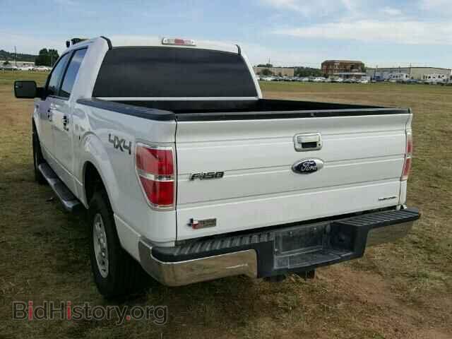 2011 FORD F150 - VIN: 1FTFW1EF2BFC72562 - Фото 3