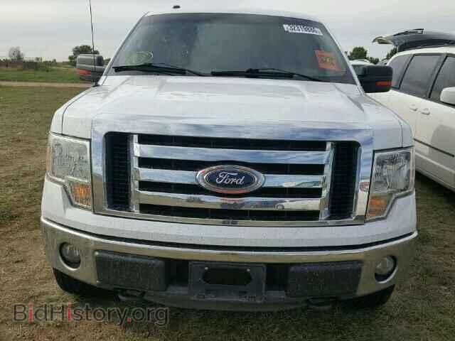2011 FORD F150 - VIN: 1FTFW1EF2BFC72562 - Фото 10