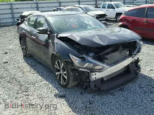 Фотография 1N4AA6APXGC402378 - NISSAN MAXIMA 2016