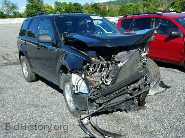 Фотография 1FMCU0DG1BKC46616 - FORD ESCAPE 2011