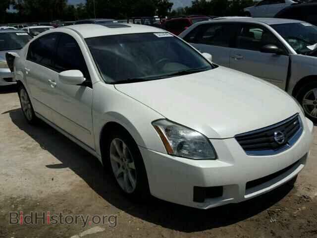 Photo 1N4BA41E48C806429 - NISSAN MAXIMA 2008