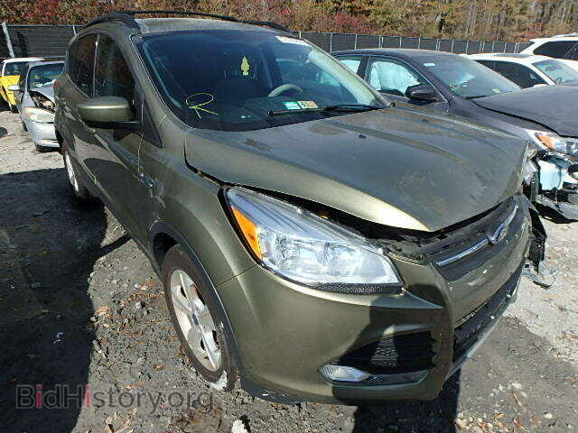 Photo 1FMCU0GX7DUA25699 - FORD ESCAPE 2013