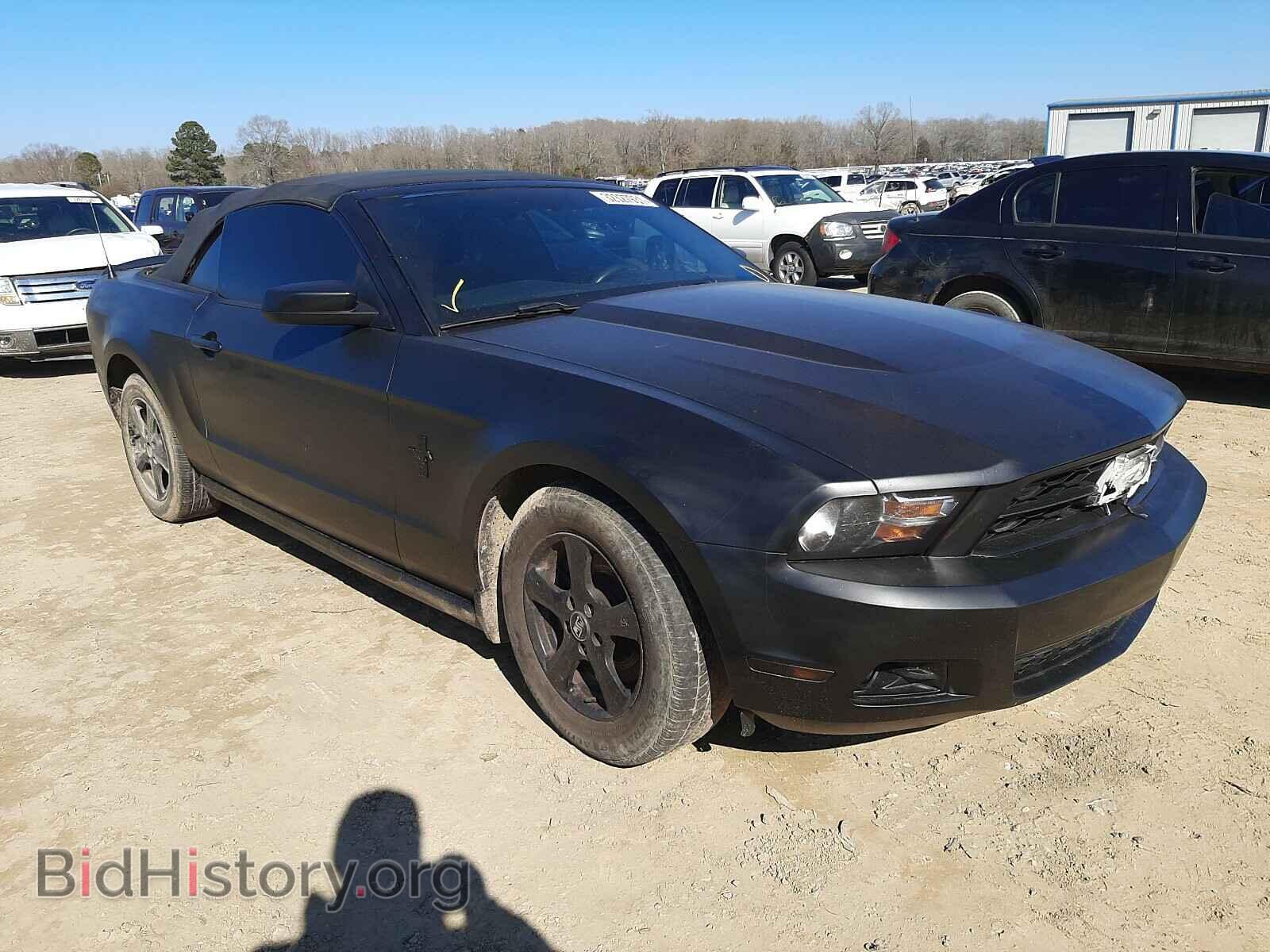 Photo 1ZVBP8EMXB5135410 - FORD MUSTANG 2011