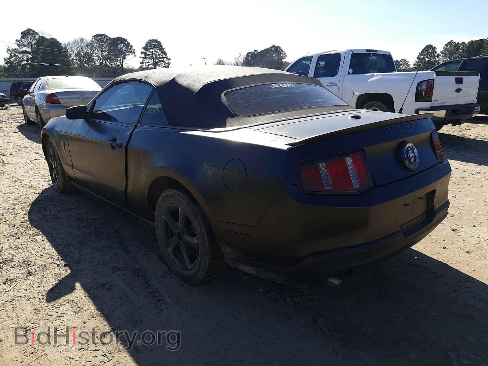 2011 FORD MUSTANG - VIN: 1ZVBP8EMXB5135410 - Фото 3