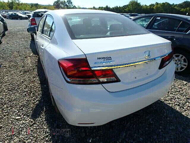 2014 HONDA CIVIC - VIN: 19XFB2F54EE054368 - Фото 3