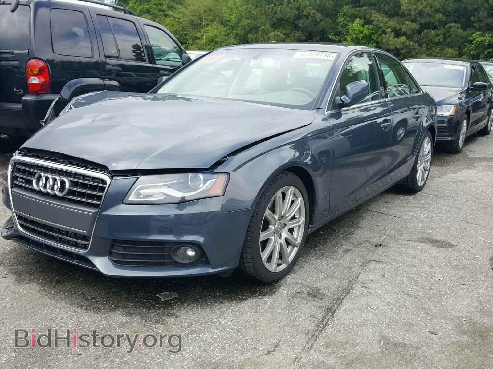 2010 AUDI A4 - VIN: WAUFFAFL8AN024449 - Фото 2