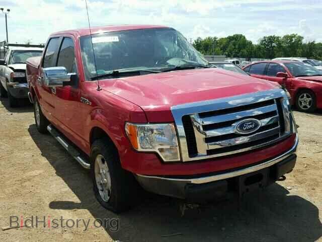 Фотография 1FTEW1E85AFA87479 - FORD F150 2010