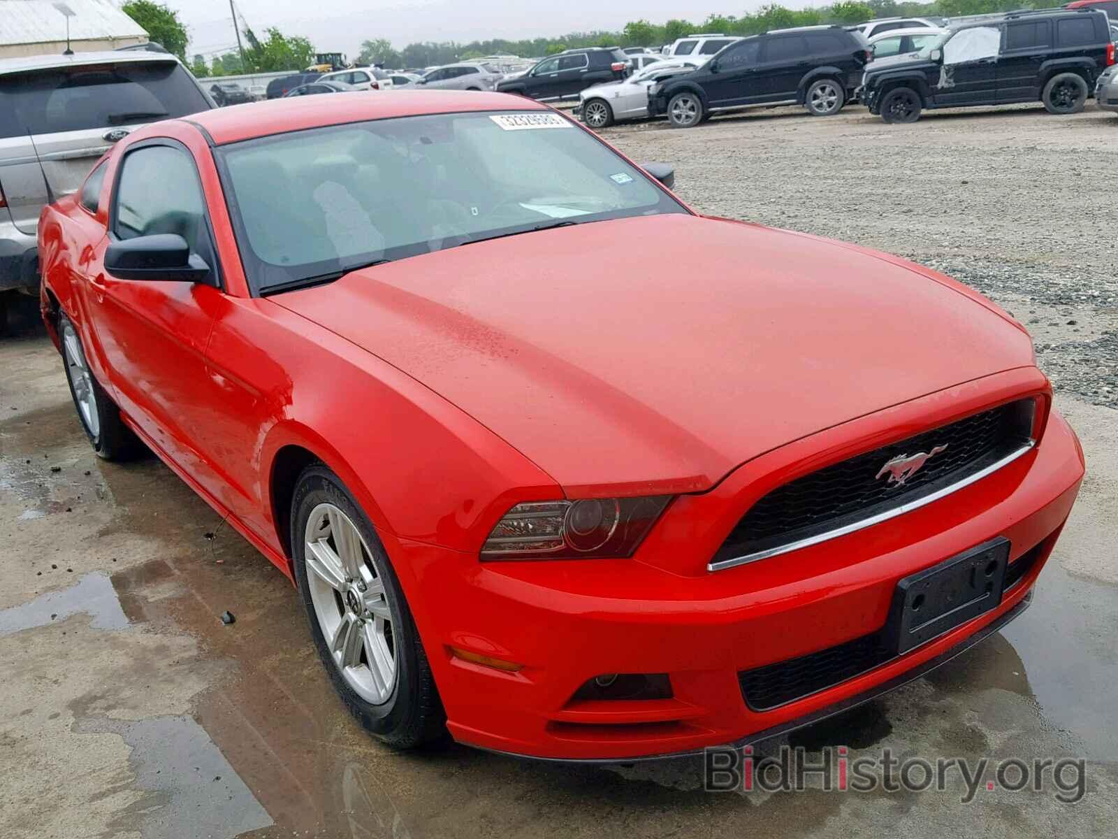 Photo 1ZVBP8AM8E5207599 - FORD MUSTANG 2014