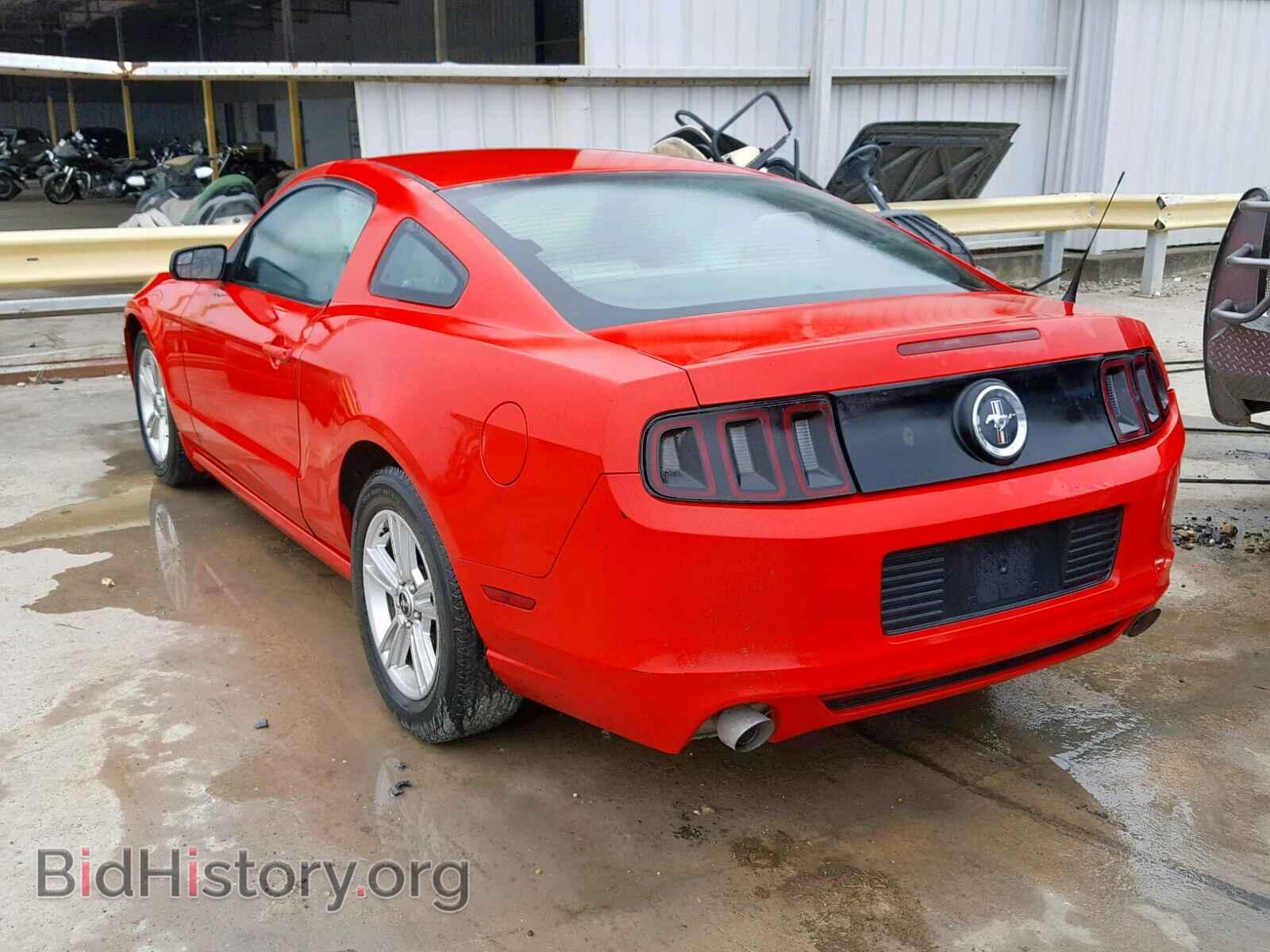 2014 FORD MUSTANG - VIN: 1ZVBP8AM8E5207599 - Фото 3
