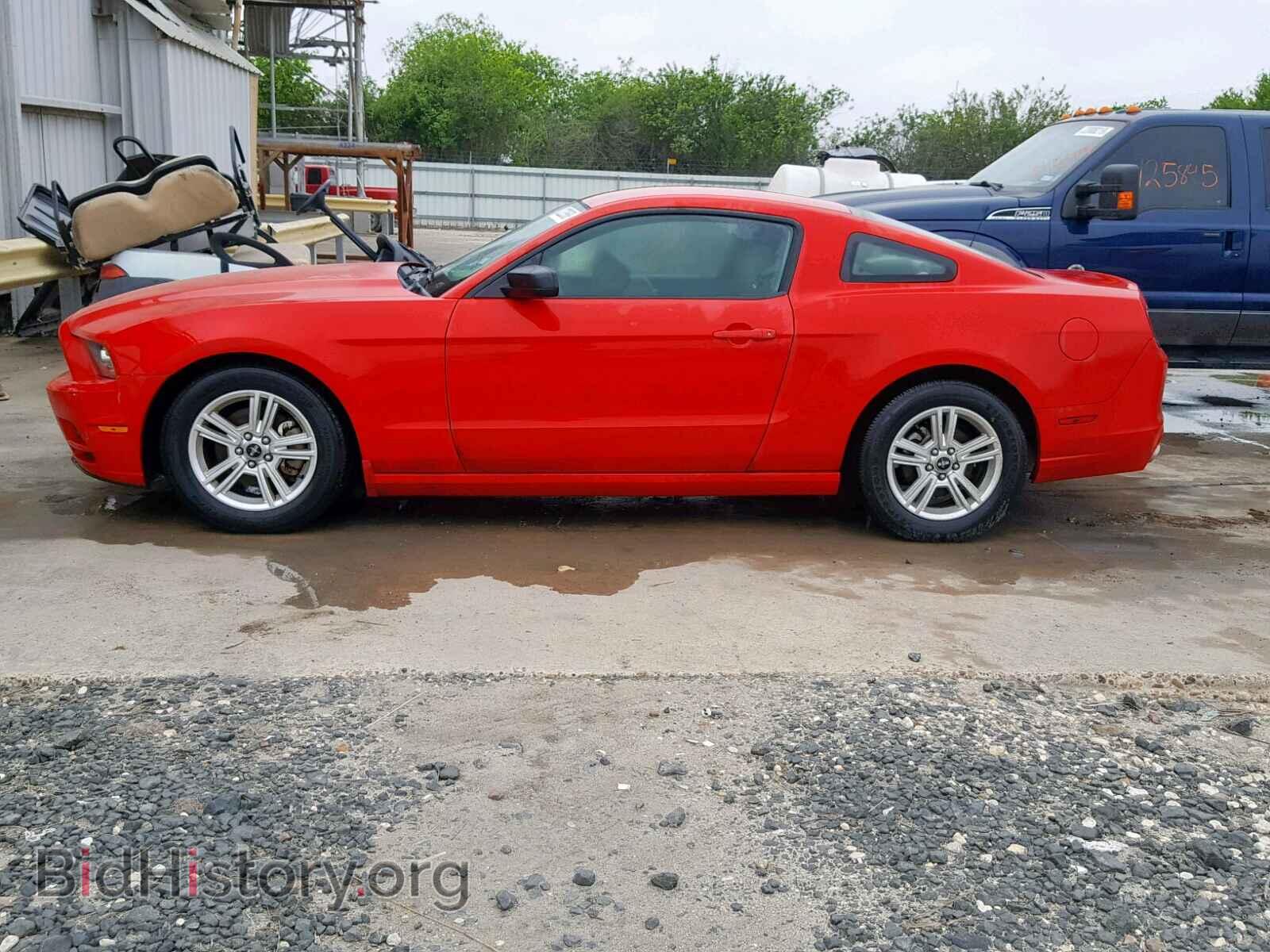 2014 FORD MUSTANG - VIN: 1ZVBP8AM8E5207599 - Фото 9
