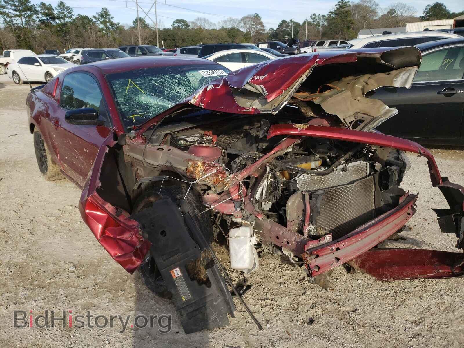 Photo 1ZVBP8AM8E5276714 - FORD MUSTANG 2014