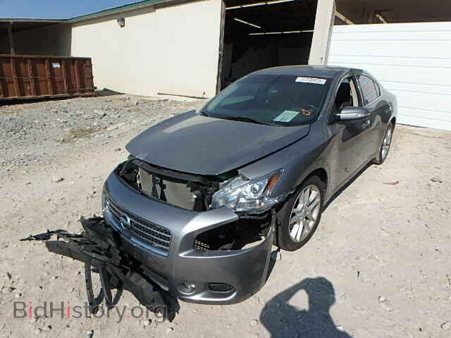2009 NISSAN MAXIMA - VIN: 1N4AA51E09C804910 - Фото 2